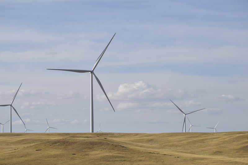 Environmental Sustainability